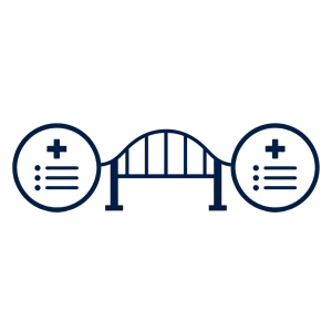 Icon of a bridge connecting data circles representing seamless transition-of-care programs